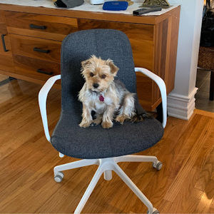 Meet your Posher, Gants123